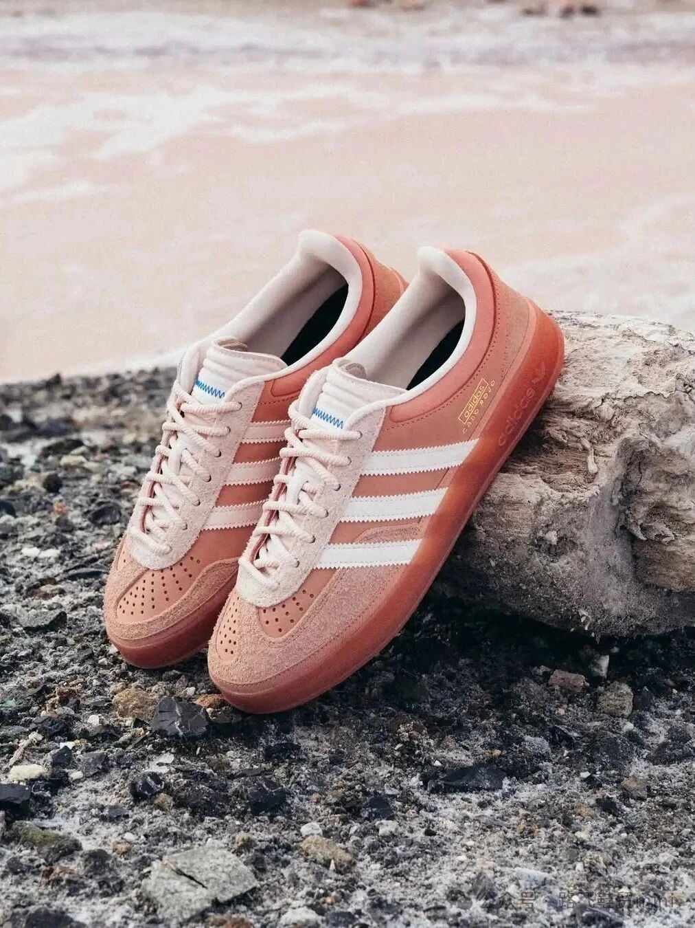 adidas Originals x Bad Bunny Gazelle Cabo Rojo，7月26日已发售缩略图