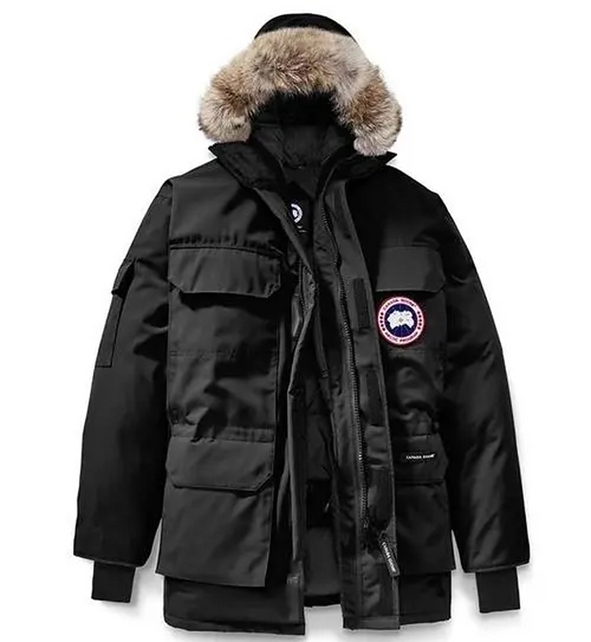 2025最新如何辨别莆田加拿大鹅的真伪？看完你就明白了缩略图